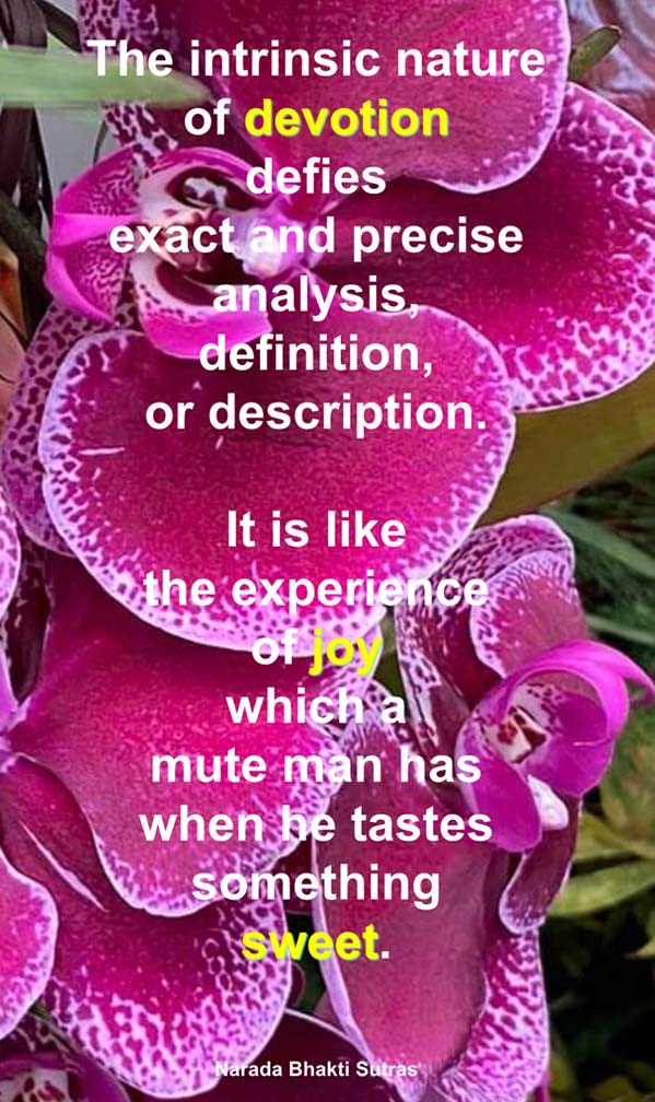 The Mute Man's Eloquence