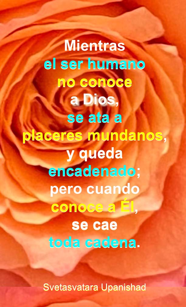 Chained to Earthly Pleasures