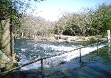 Squaw Creek at Flood Stage, by John Cunyus